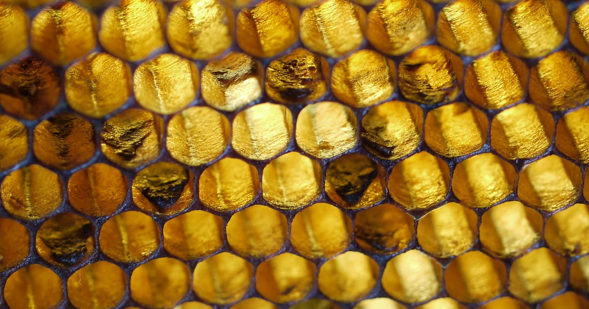 Dark, sunken AFB scales on the bottom of brood cells caused by American foulbrood